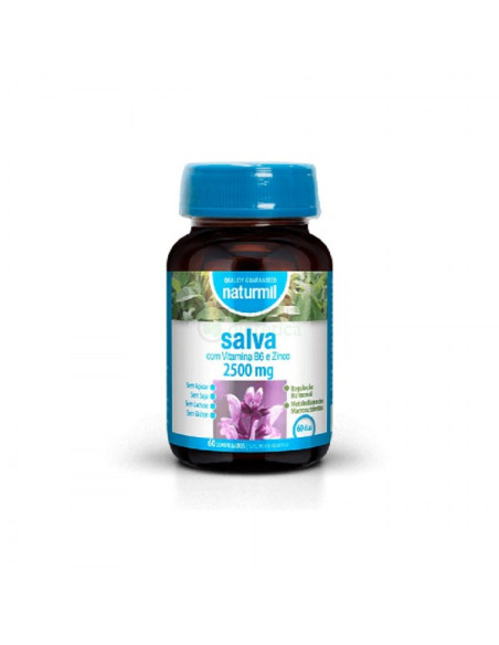 Salva