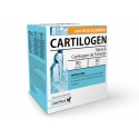 Cartilogen Capsulas com Silício